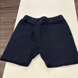 Zanerobe Dark Blue Athletic Shorts